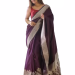 Embellished Zari Border Saree