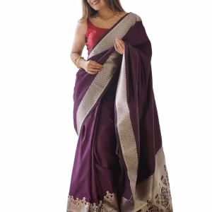 Embellished Zari Border Saree