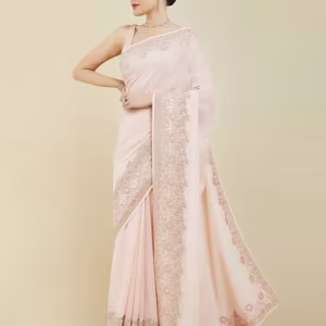 Embellished Georgette Saree