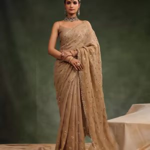 Beige Nutmeg Embellished Saree with Unstitched Blouse
