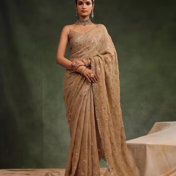 Beige Nutmeg Embellished Saree with Unstitched Blouse