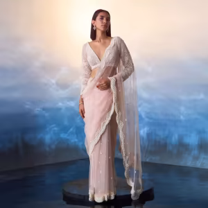 Light Peach Net Saree with Stitched Blouse and Petticoat